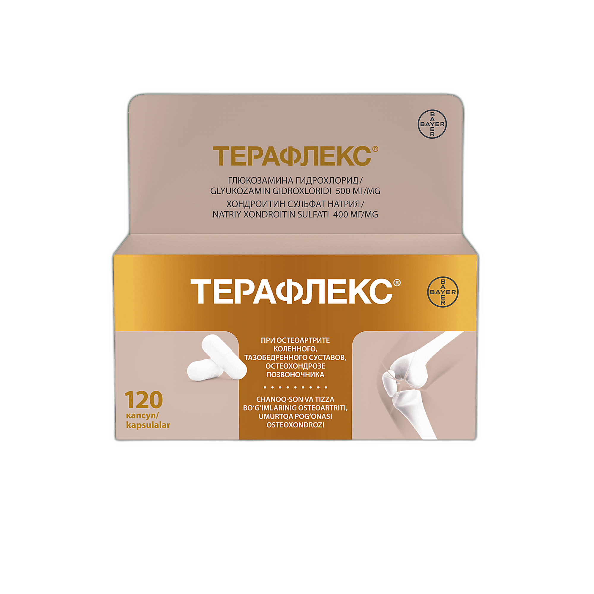 ТЕРАФЛЕКС капсулы N120