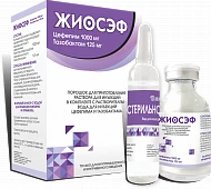 JIOSEF poroshok 1000 mg+125 mg N1