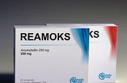 Reamoks