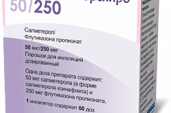 ЭРФЛЮСАЛ ФОРСПИРО порошок 50 мкг/250 мкг 60 доз