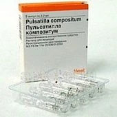 Pulsatilla