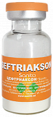 SEFTRIAKSON SANITA poroshok 1,0g N10