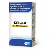 Kuatsef