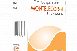 MONTELEKOR-4