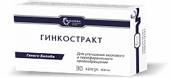 Ginkostrakt 400 mg