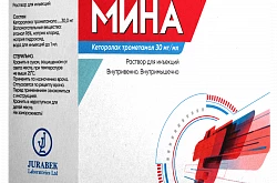 Мина
