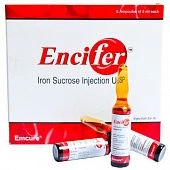 Ensifer