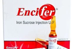Ensifer