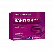 KANITRIN NEO eritma 1000mg/5ml N5