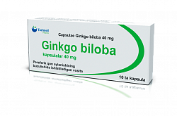 Ginkgo Biloba