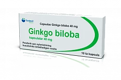 Ginkgo Biloba