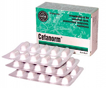 Sefanorm
