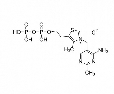 PHR1369-500MG Тиаминпирофосфат, вторичный фармацевтический стандарт; 500мг