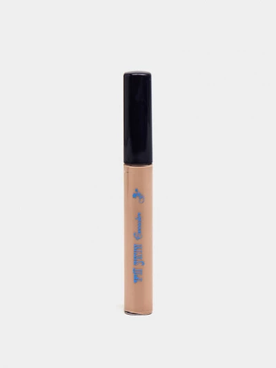 Консилер FFleur Fit Skin Сoncealer, 9 г