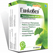 GINKOVEL kapsulalar  N60