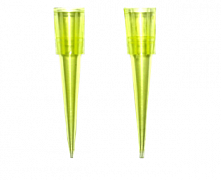 Pipetka uchlari 200 µl #1000 (rang: sariq)