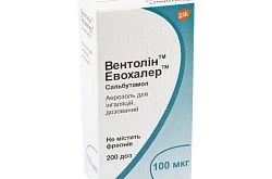 ВЕНТОЛИН ЭВОХАЛЕР ИНГАЛЯТОР ДОЗИРОВАННЫЙ 100мкг 200 доз N1