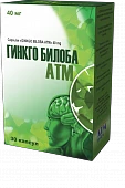 GINKGO BILOBA kapsulalar  40mg N30