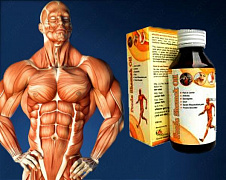 Mushaklar va bo'g'inlar uchun moy Peeda Shamak Oil