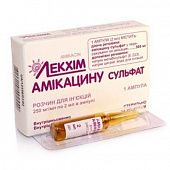 AMIKASINA SULFAT inyeksiya uchun eritma 4ml 250mg/ml N1