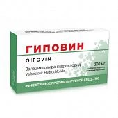 GIPOVIN