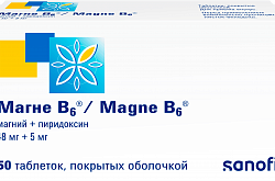 MAGNE V6